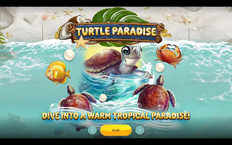 Turtle Paradise | The Ultimate Oceanic Adventure